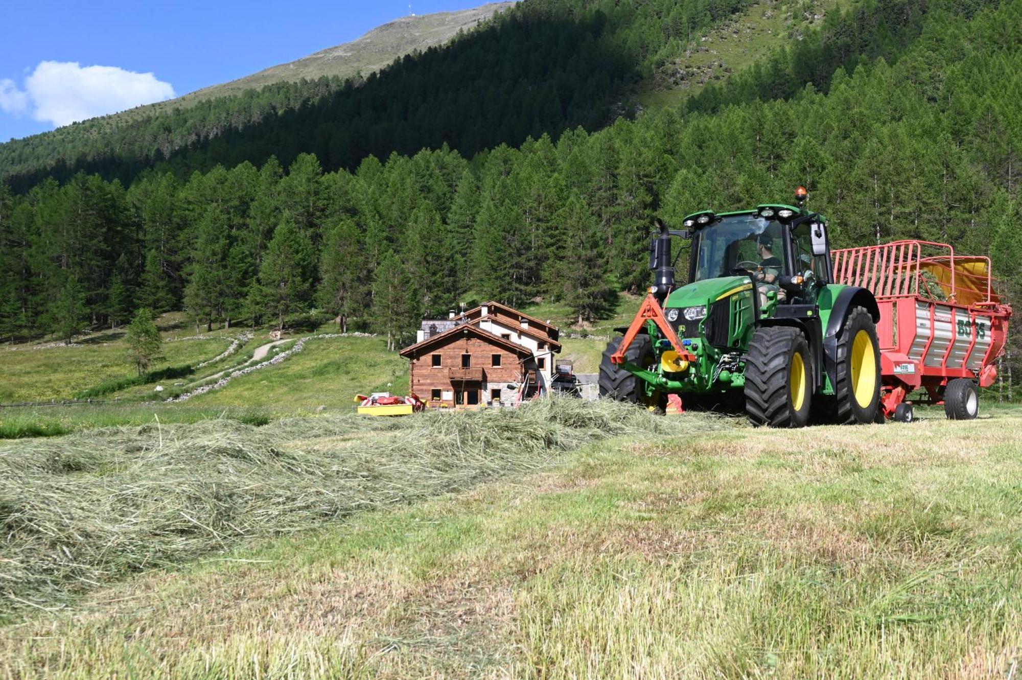 Agriturismo Bosco D'Oro Ливиньо Екстериор снимка