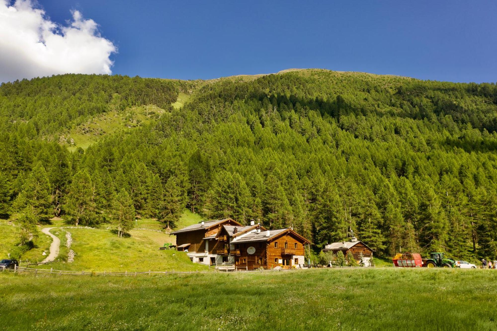 Agriturismo Bosco D'Oro Ливиньо Екстериор снимка