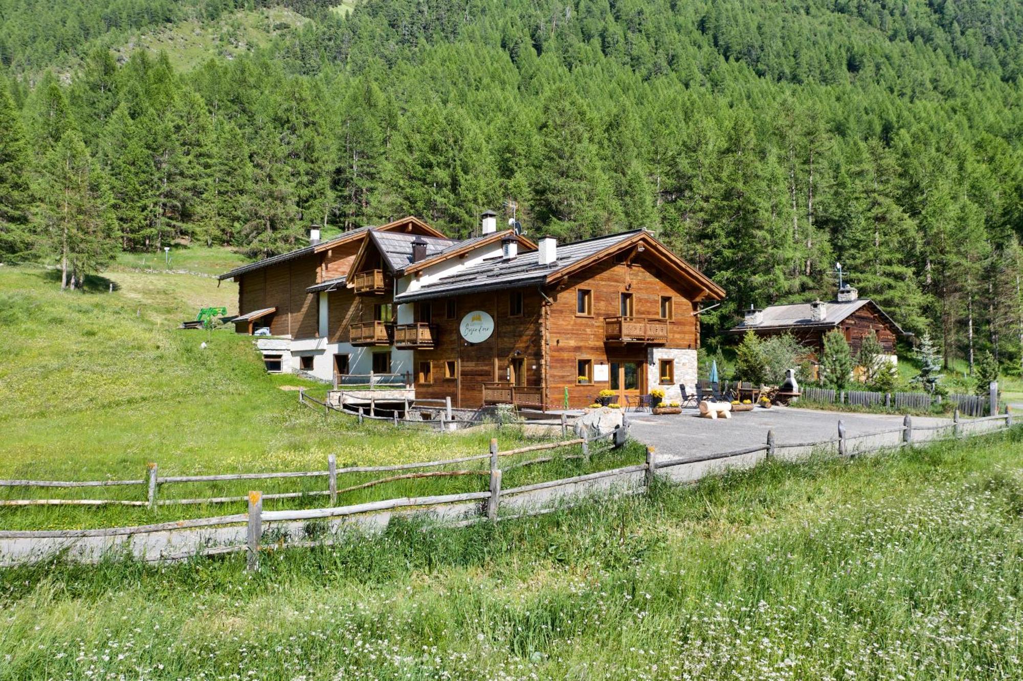Agriturismo Bosco D'Oro Ливиньо Екстериор снимка